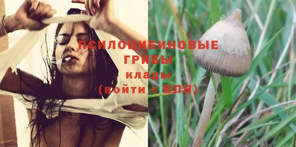 прущие крисы Заволжск