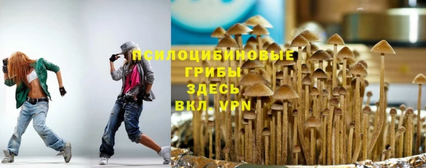 2c-b Заводоуковск