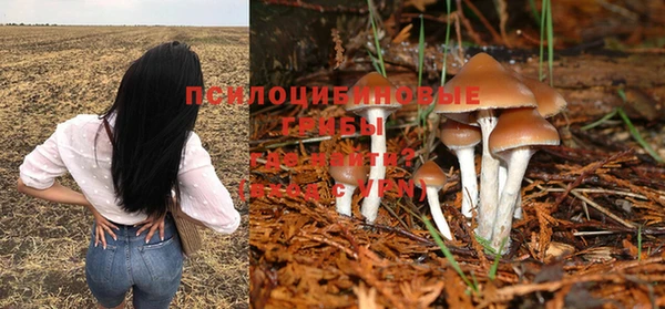 2c-b Заводоуковск