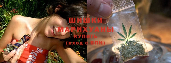 2c-b Заводоуковск