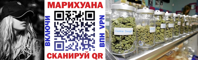 Купить закладки  Карасук  Каннабис сатива 